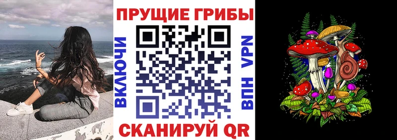 KRAKEN ССЫЛКА  Ясногорск  Галлюциногенные грибы мицелий 